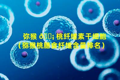 弥猴 🐡 桃纤维素干细胞（猕猴桃膳食纤维含量排名）